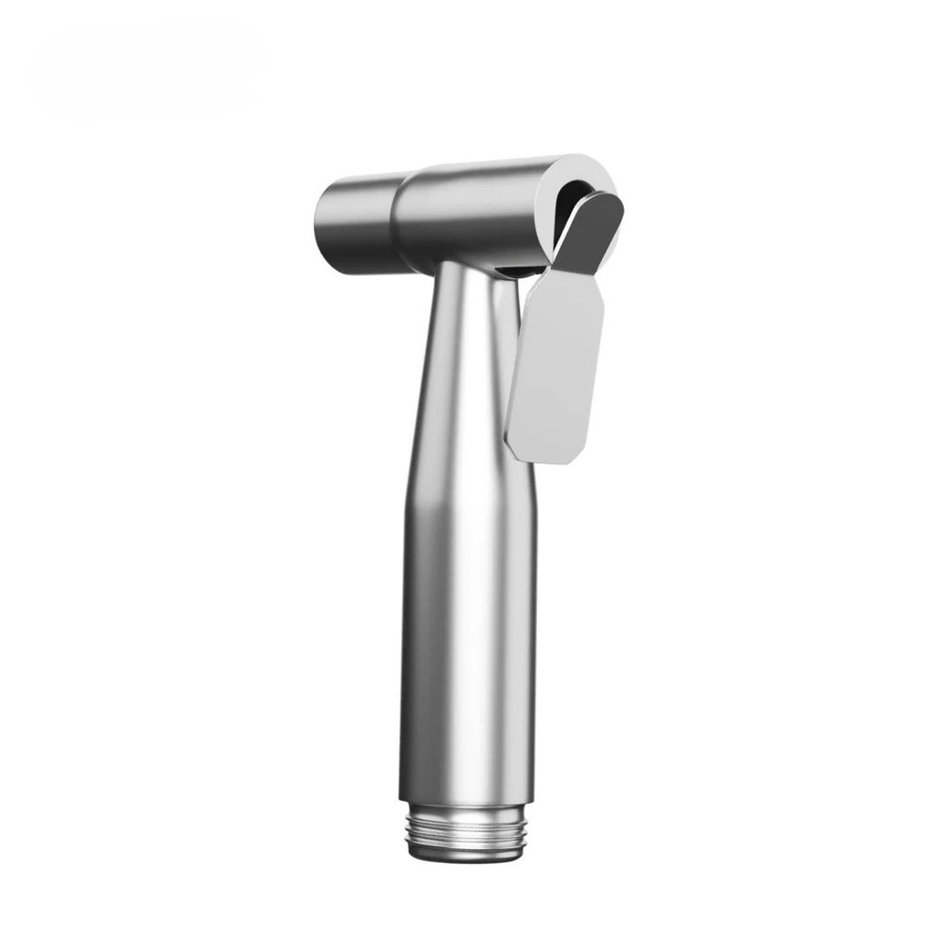 Stainless Steel Toilet Shower